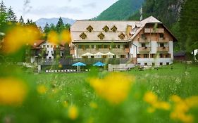 Hotel Plesnik Logar Valley